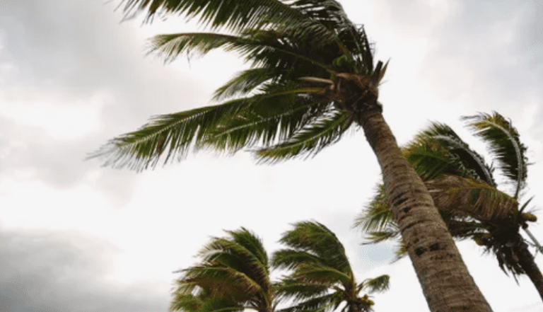 狂風吹起~3級颶風凱伊來勢洶洶！ 聖地牙哥熱浪加劇電力破表, 今年夏天實在不好過~